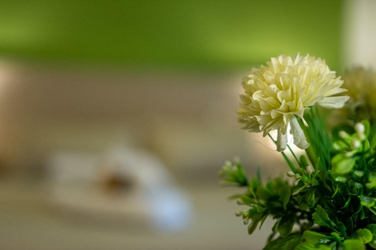 Cairoli Bed & Breakfast 3*